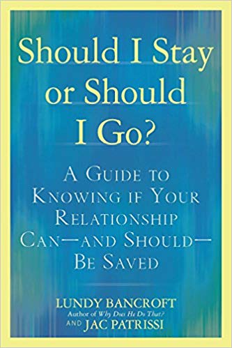 Should I Stay or Should I Go book cover