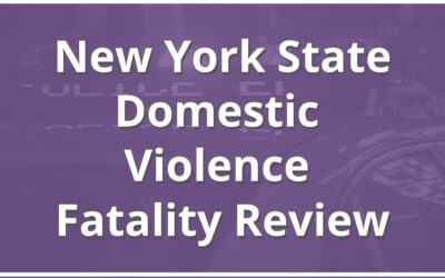 OPDV Releases Fatality Review Report
